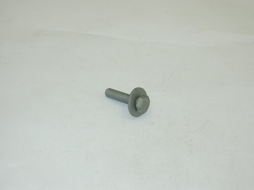 N10189407 VAG