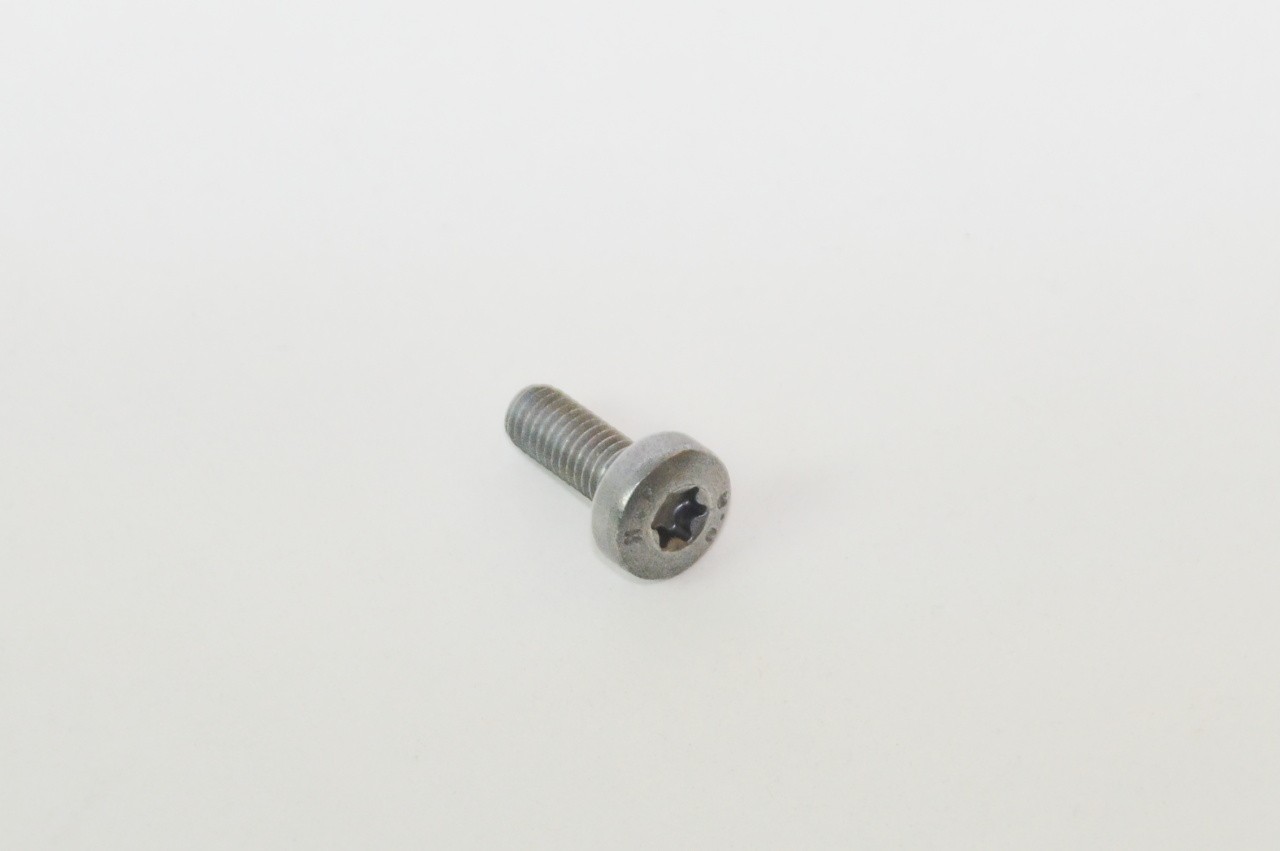N10451405 VAG Tornillo