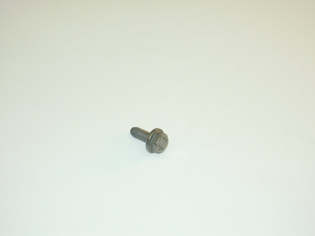 N10653201 VAG Tornillo